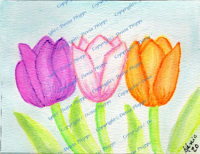 Three Tulips<br>© Denia Phipps